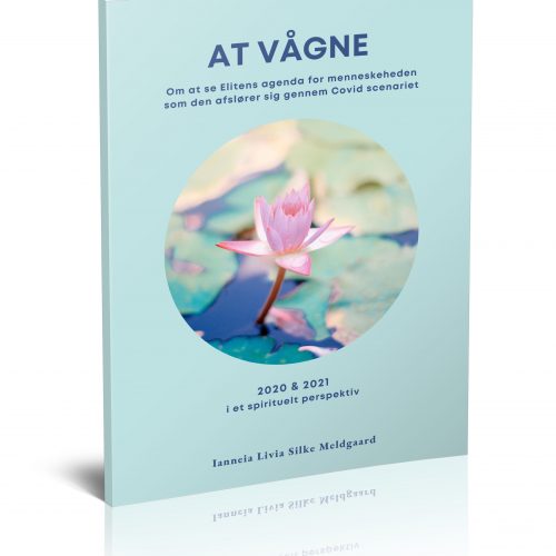 The great awakening. Bog om at vågne og se, hvad Covid scenariet har handlet om